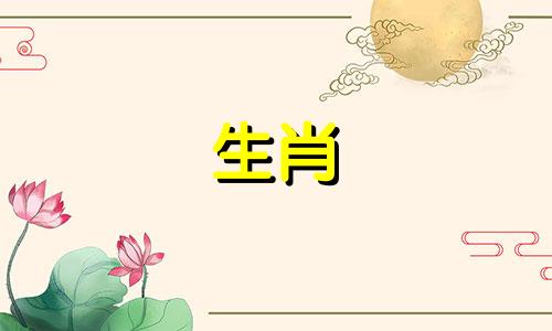 这三个生肖是生肖鸡的最佳伴侣 鸡生肖什么生肖最好,鸡生肖什么生肖最配