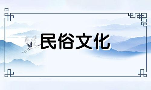 李星云是什么生肖?大陆考察队有多少生肖?