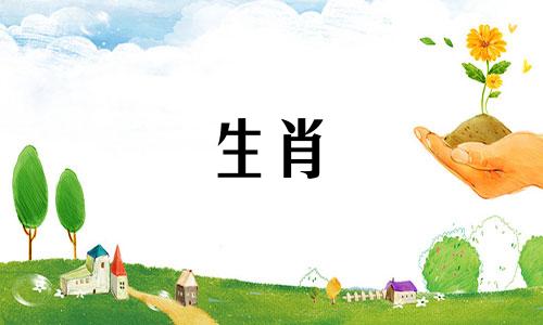 最新生肖十二生肖网名大全 鼠网名吉祥、吉祥