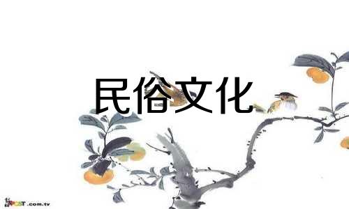 马年出生的人适合什么生肖 马生肖最佳生肖图片及婚姻图