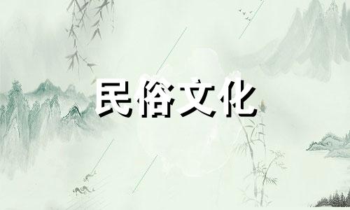 雨辰在五行中是什么生肖？雨辰在五行中是什么生肖？