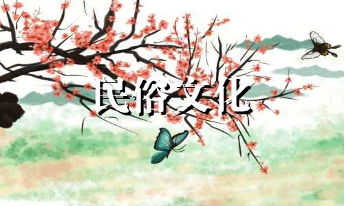 11月属鸡是什么生肖? 1993年农历11月13日是什么生肖?