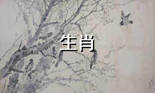  11月6日是什么星座(2004年冬初六是什么星座)