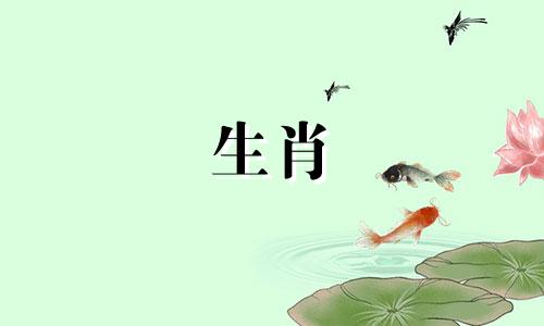 属羊和属鸡的生肖相配吗？  鸡和羊相配吗？