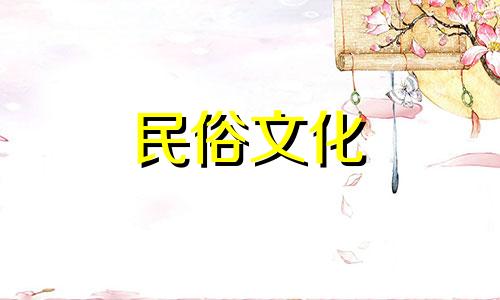 城墙出身的女孩,婚姻条件优越,找到了好女婿