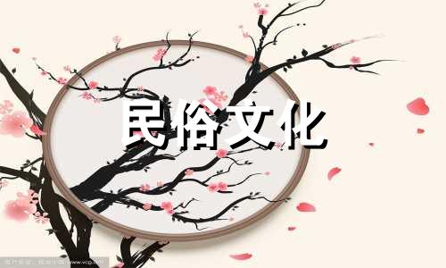  B、酉，代表什么星座 酉是什么星座