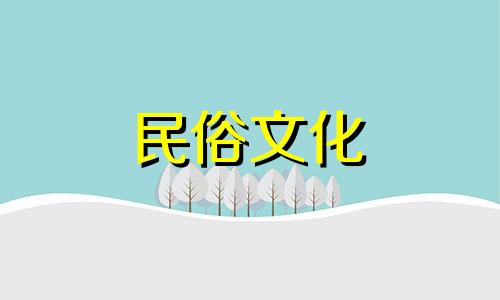  2006年是什么星座 (2006年是什么星座)