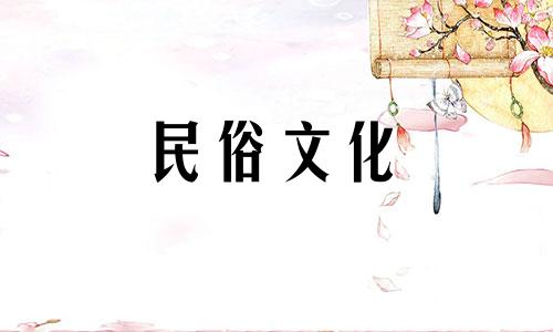 羽毛这个词。指的是什么生肖 鸡生肖和属相哪个字代表