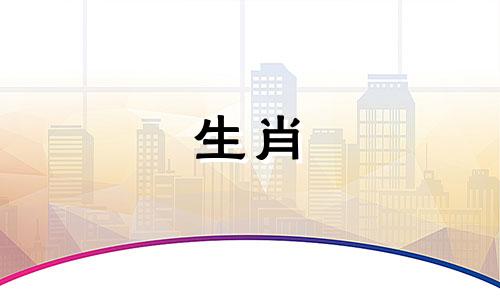 马男最适合结婚的生肖 马男最适合和什么生肖结婚