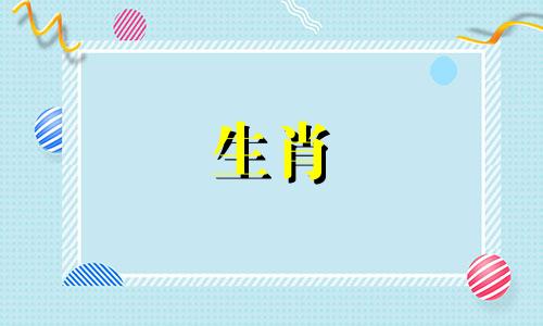 金世杰适合什么生肖(舒淇主演过哪些电影)