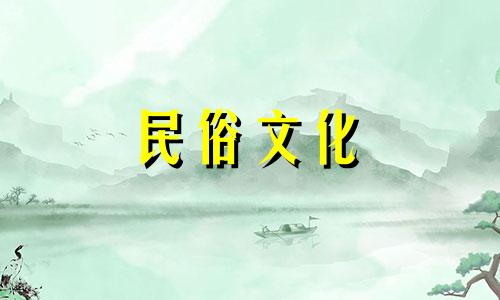 图解鳄龟养殖风水禁忌 耕种龟养殖方法及注意事项