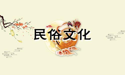 麒麟棕盆景风水禁忌有哪些 养玉麒麟的方法及注意事项有哪些