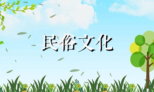 寿娘子盆景风水禁忌图解 寿娘子盆景的含义