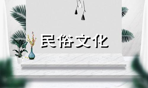 图解鳄龟饲养风水禁忌 鳄龟如何饲养及注意事项