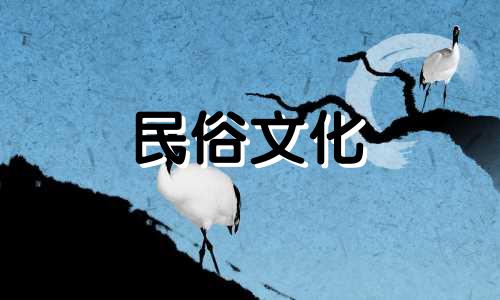 鸡、狗的风水禁忌有哪些 龙、鸡、狗这三个生肖会与煞气相冲吗?如何解决鸡、狗生肖不相容的问题
