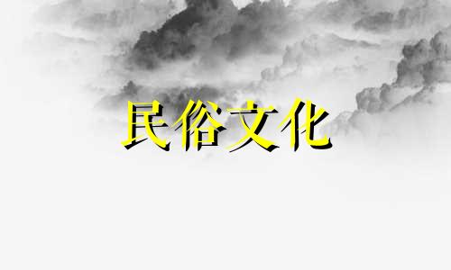 客厅摆放什么吉祥绿植可以招财呢?