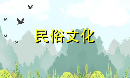 1980年,石榴树缺什么,如何让财运稳定?