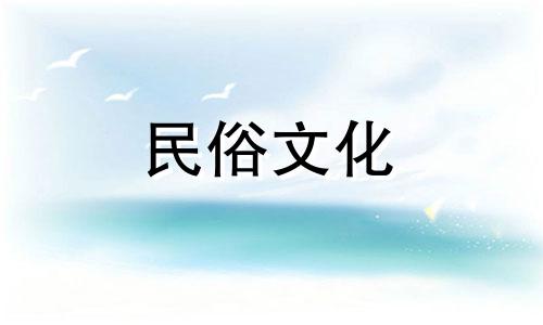 老公旺的女人婚姻宫有财星是什么星座？