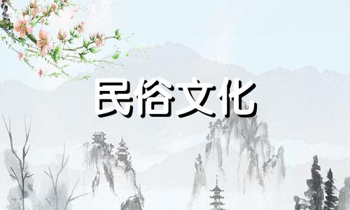 男性领导挑选吉祥聚财植物作为办公桌盆栽