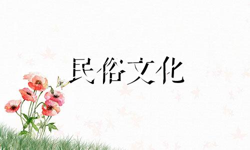 客厅隔断里应该摆放什么样的装饰品？选择鱼缸招财时需要注意的事项有很多。