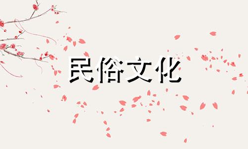 根据你的经济状况,你家客厅适合摆放什么植物?合适的植物会带来好运。