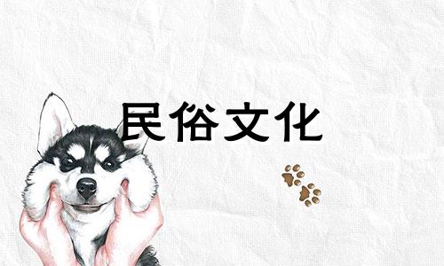 办公桌上放什么绿色植物比较好看?你的办公桌上需要摆放什么样的绿色植物呢?