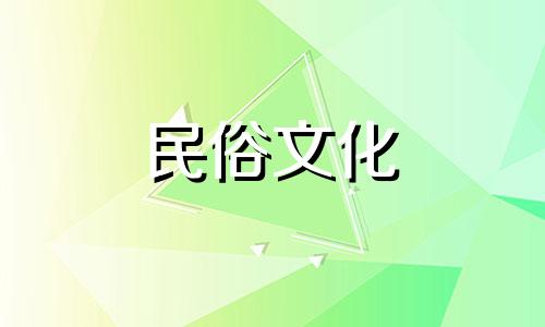 办公室适合摆放什么植物?植物会健康快乐