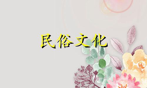 办公室里适合养什么绿色植物？选择好的绿色植物来保平安，对风水是有好处的。