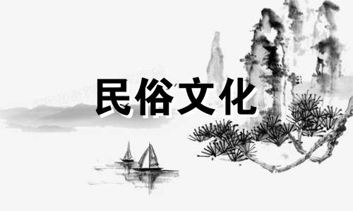 公司里应该摆放什么样的植物才能招财呢？金钱树等吉祥植物