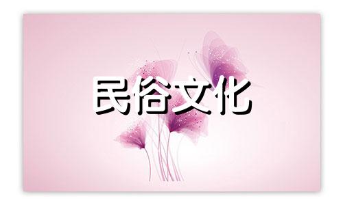 办公室里放什么植物好，是发财树还是仙客来。