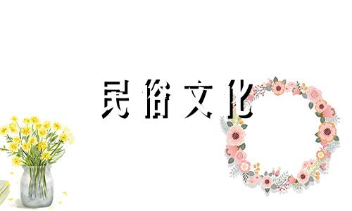 办公室最受欢迎的大型植物生命之花增添情趣