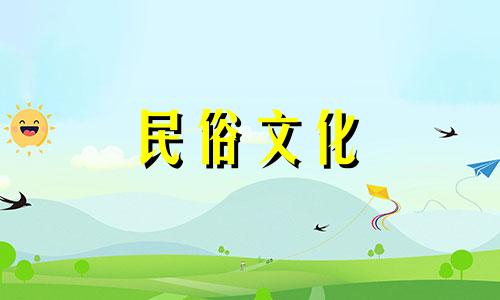 适合男士办公室摆放的花卉招财植物，保平安