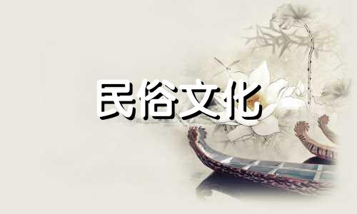 适合办公室的绿色植物,富贵蕨类,招财进宝