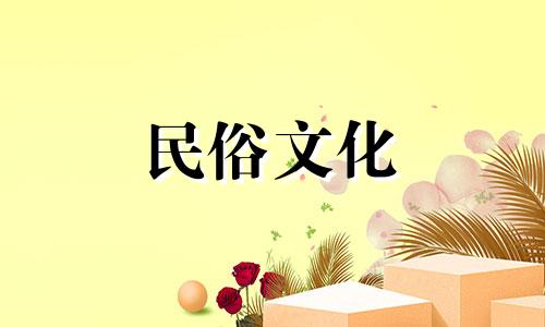 大型办公室绿植推荐生存力强的吉祥绿植