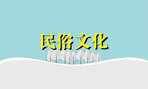 适合在写字楼大堂摆放大型绿色植物，带来吉祥，四季常青，招财进宝。