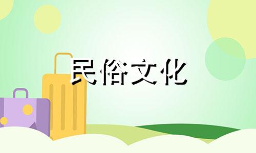 客厅招财摆件绿植貔貅招财宝