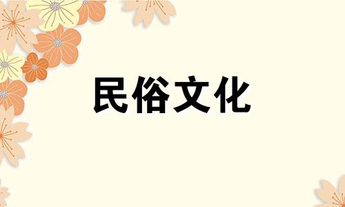 家里应该摆放什么样的绿色植物才能招财呢？