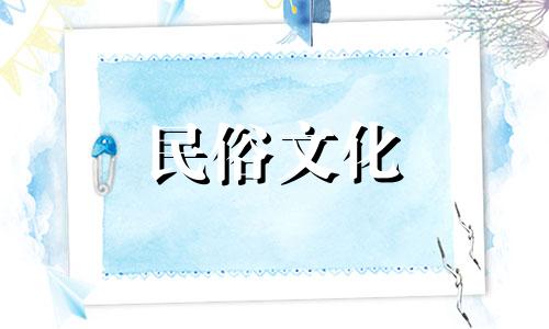 办公室适合放什么植物?绿色植物具有良好的风水寓意。