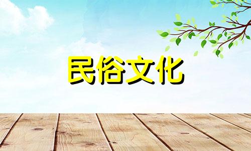 金钱树是办公室常见的大型绿色植物,是最招财的吉祥树。