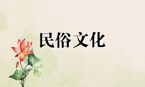 家里的经济状况最适合摆放什么花？常绿植物，一年四季吸引健康和财富。