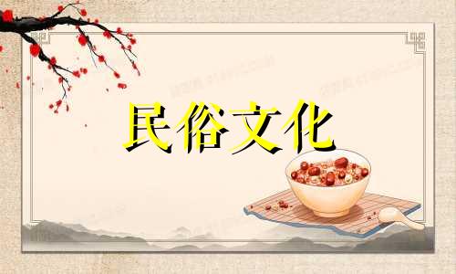 办公室里摆放盆栽大小合适最重要