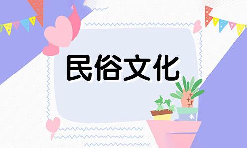 根据您的经济状况,适合在家中摆放哪些植物呢?常绿植物吸引财富和活力。