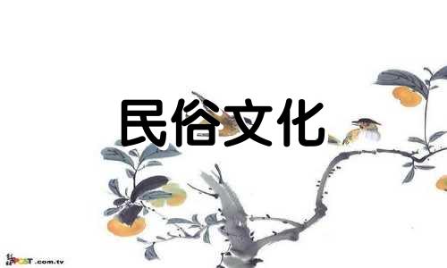 如果两个拥有黄金人生的人结婚会发生什么?