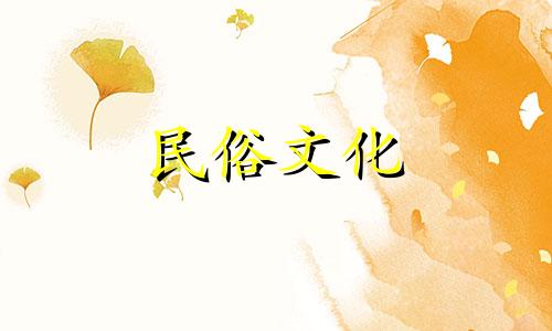 根据财力状况，客厅适合摆放哪些物品？灯、植物、水、动物