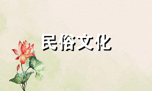 门口种什么树风水好，能招财？桂皮石金树最利于招财。