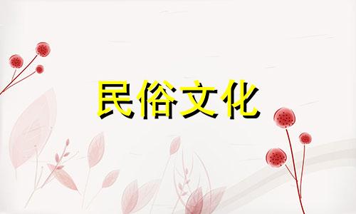 家里养什么树可以辟邪招财呢？巴西龙骨可以用来稳定房屋。