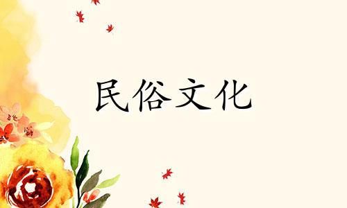 猫厕所应该放在哪里？吉祥如意，环境好，角落宽敞，家庭兴旺