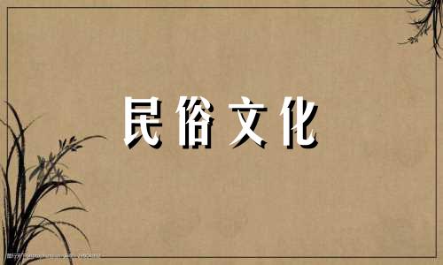 大林慕明和金剑峰的婚姻是不是很般配呢？
