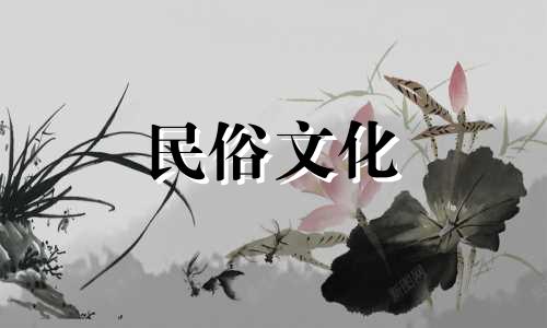 如果你要吃伤杀死一个女孩，你会找什么样的伴侣？她会是一个很有钱的人。