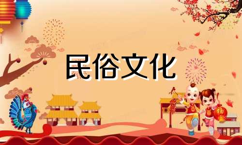 家里的财位应该摆放什么样的植物才能招财呢？名贵竹可以带来好运和财富。